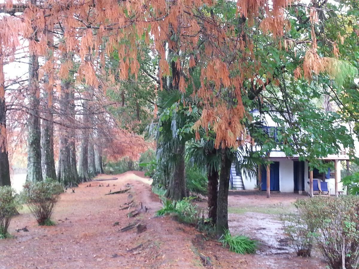 Casa Del Bosque Villa Tigre Eksteriør bilde