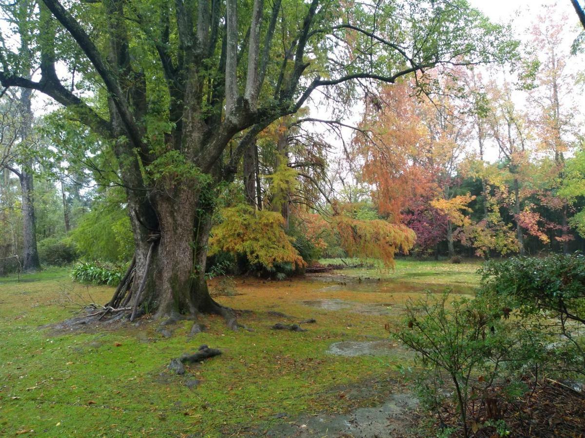 Casa Del Bosque Villa Tigre Eksteriør bilde